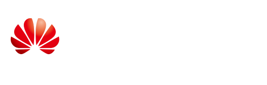 Huawei Partner